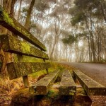 Avatar de l’utilisateur/utilisatrice