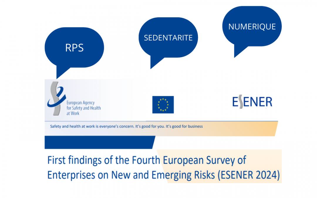 ESENER 2024 : Mieux Comprendre Les Risques